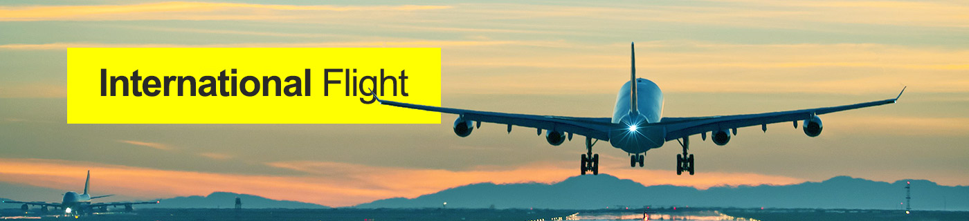 US economy class flights